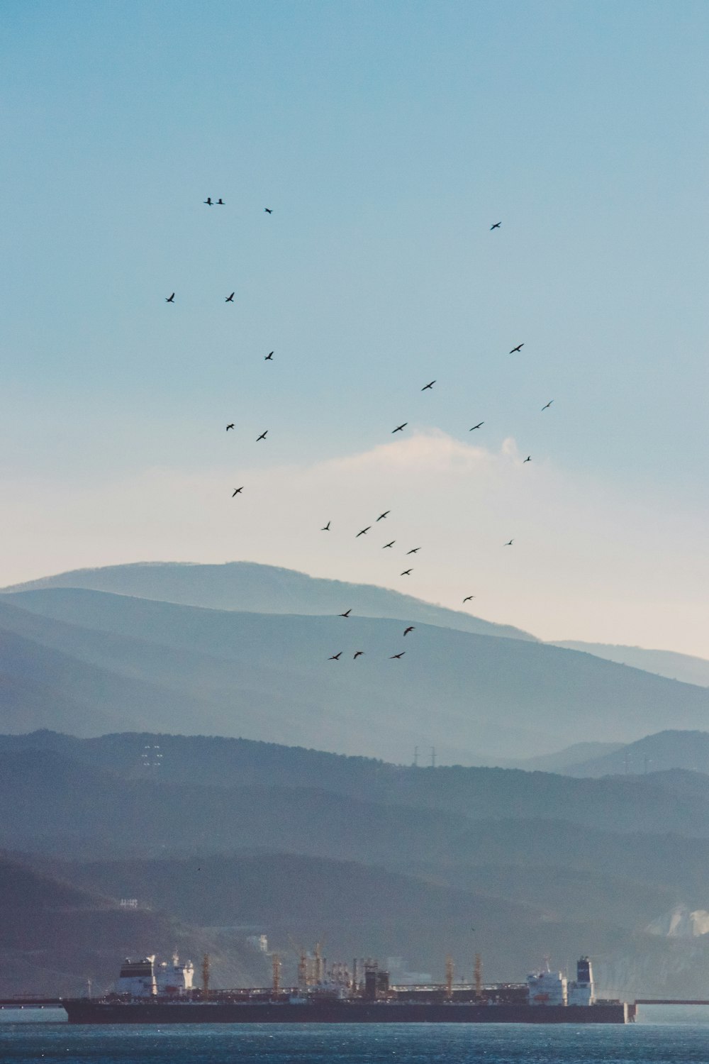 ein Vogelschwarm, der über ein Gewässer fliegt