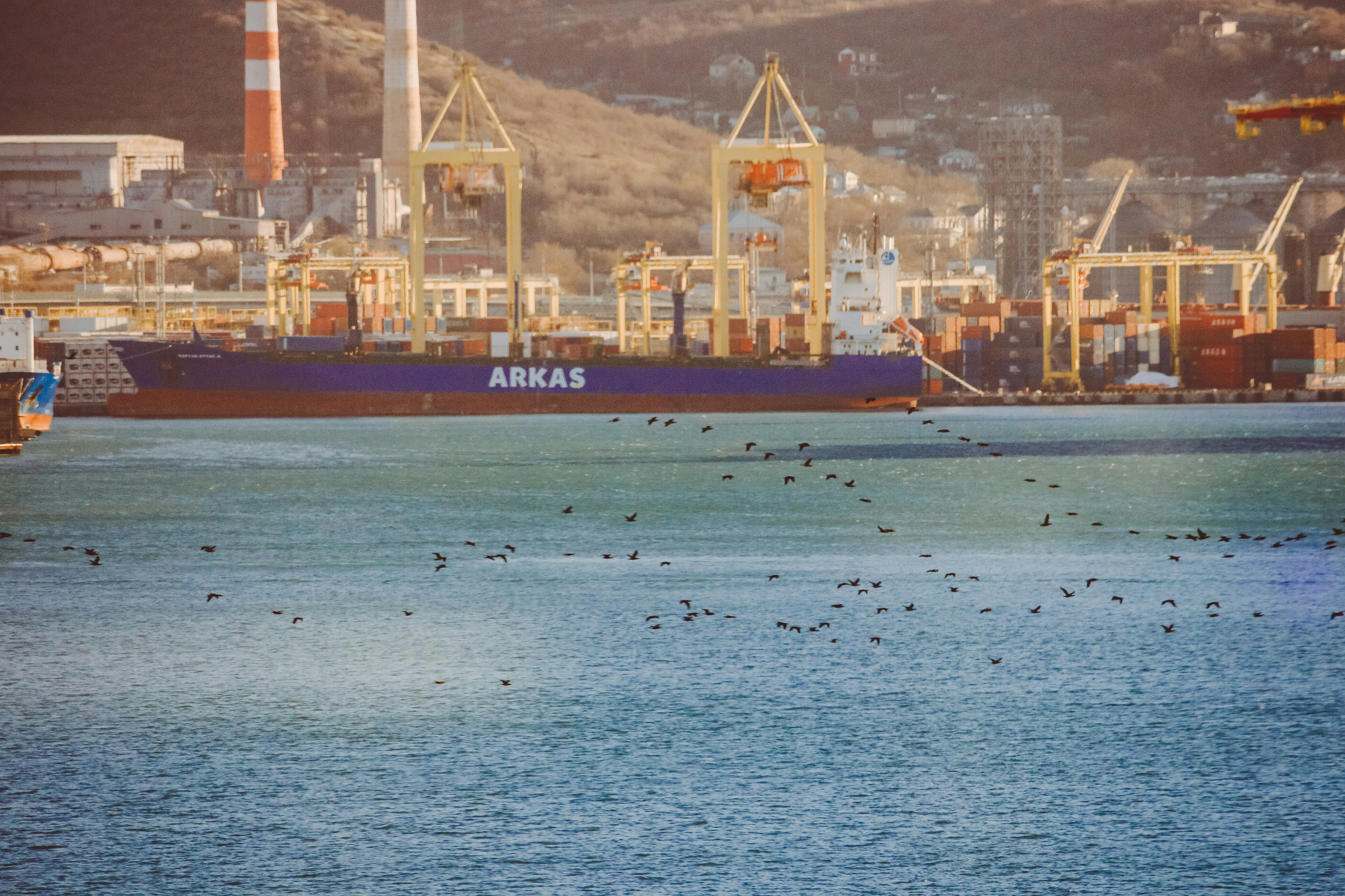 Global Import Export Reports