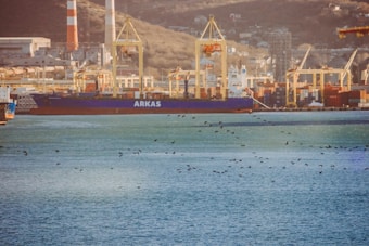 A large container ship labeled 'ARKAS' is docked at a busy port. Cranes are lined up along the dock, surrounded by numerous shipping containers. In the foreground, the sea is calm with a flock of birds flying just above the water's surface. Industrial buildings and hills can be seen in the background, accompanied by smokestacks.