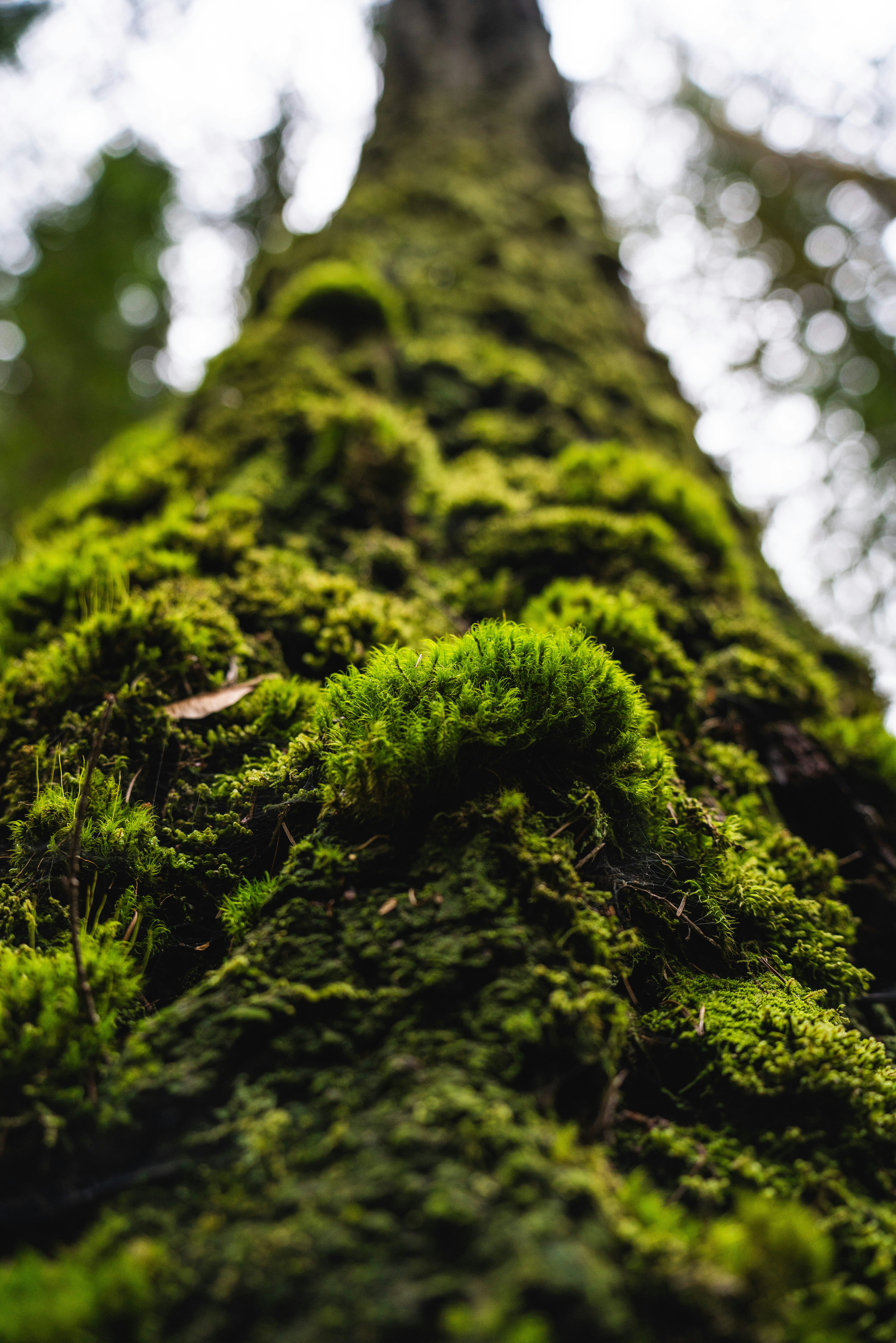 Photo by johndmurphey