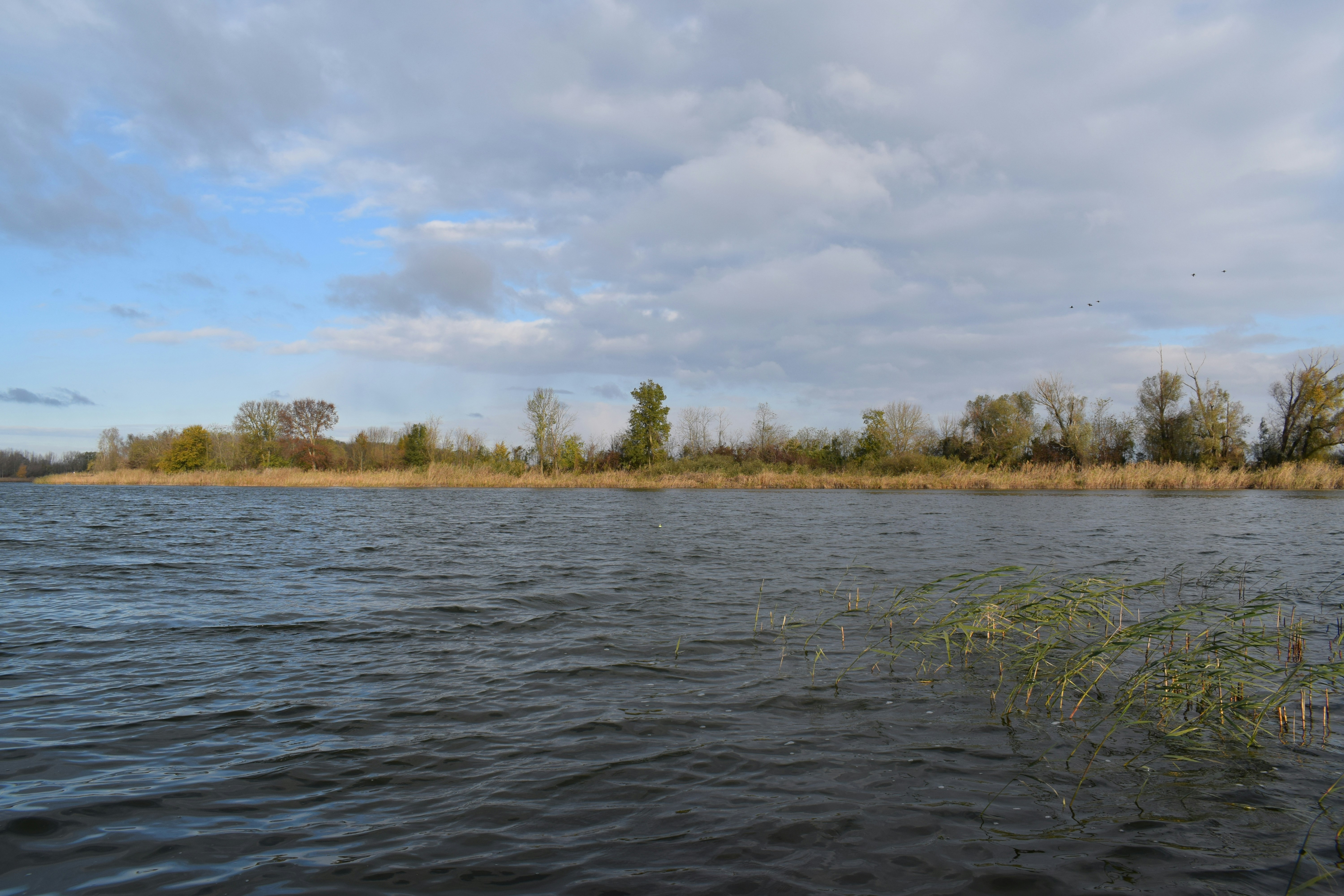 Photo by kristina001