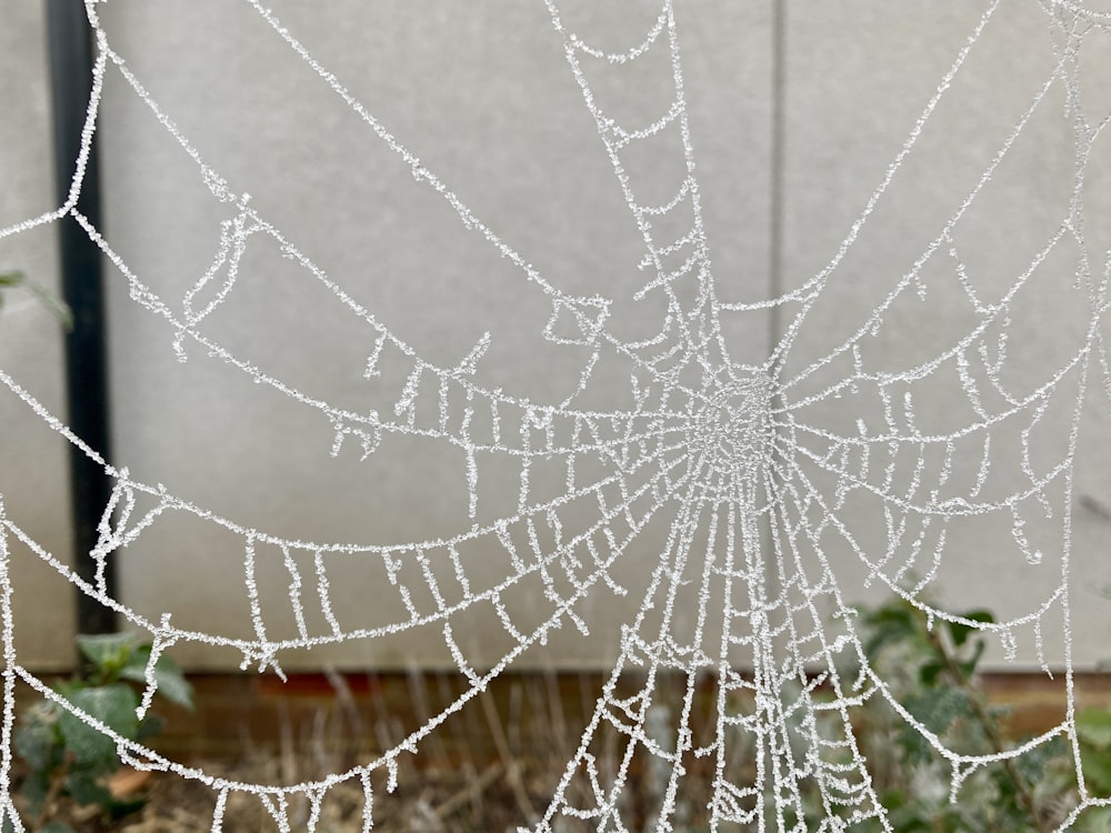 a spider web covered in water droplets in front of a building