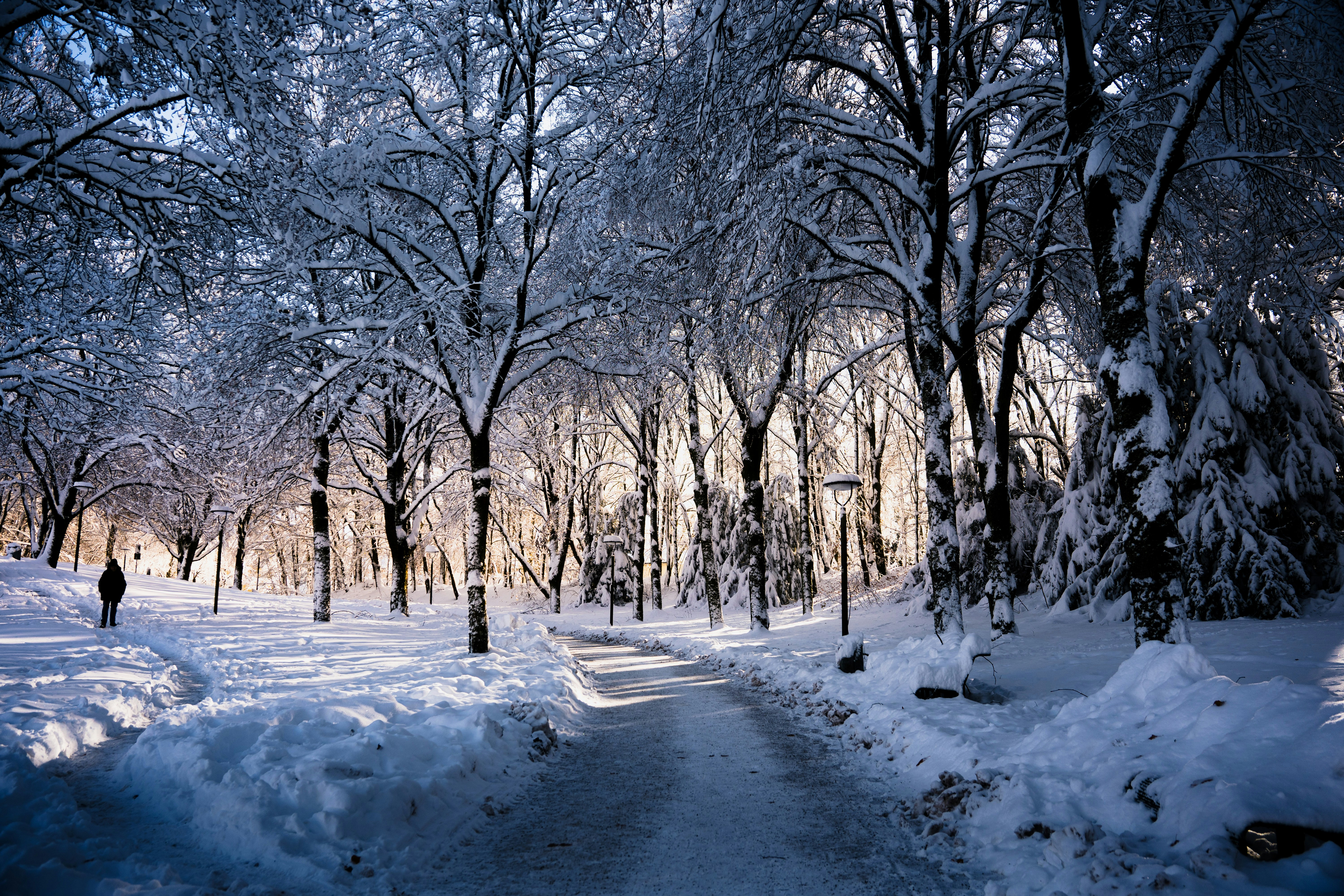 Photo by dermanuskript