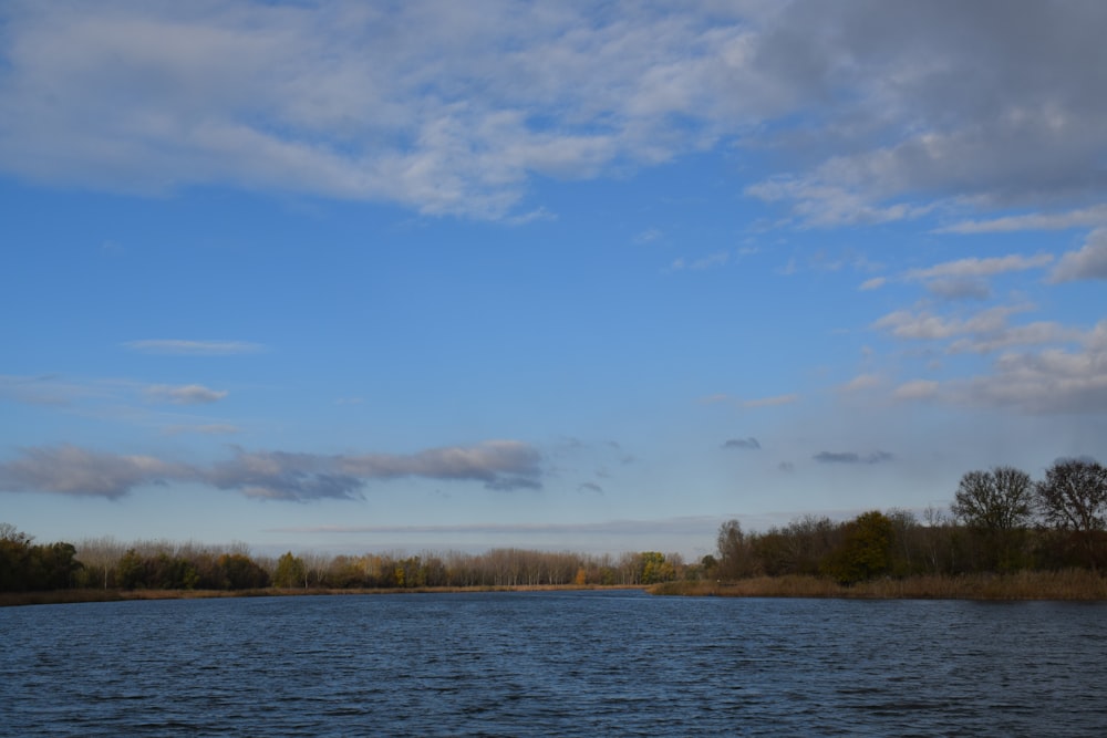 a large body of water surrounded by trees