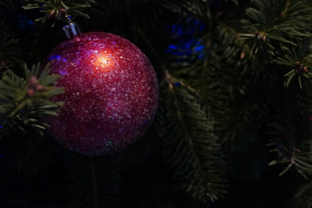 a red ornament hanging from a christmas tree