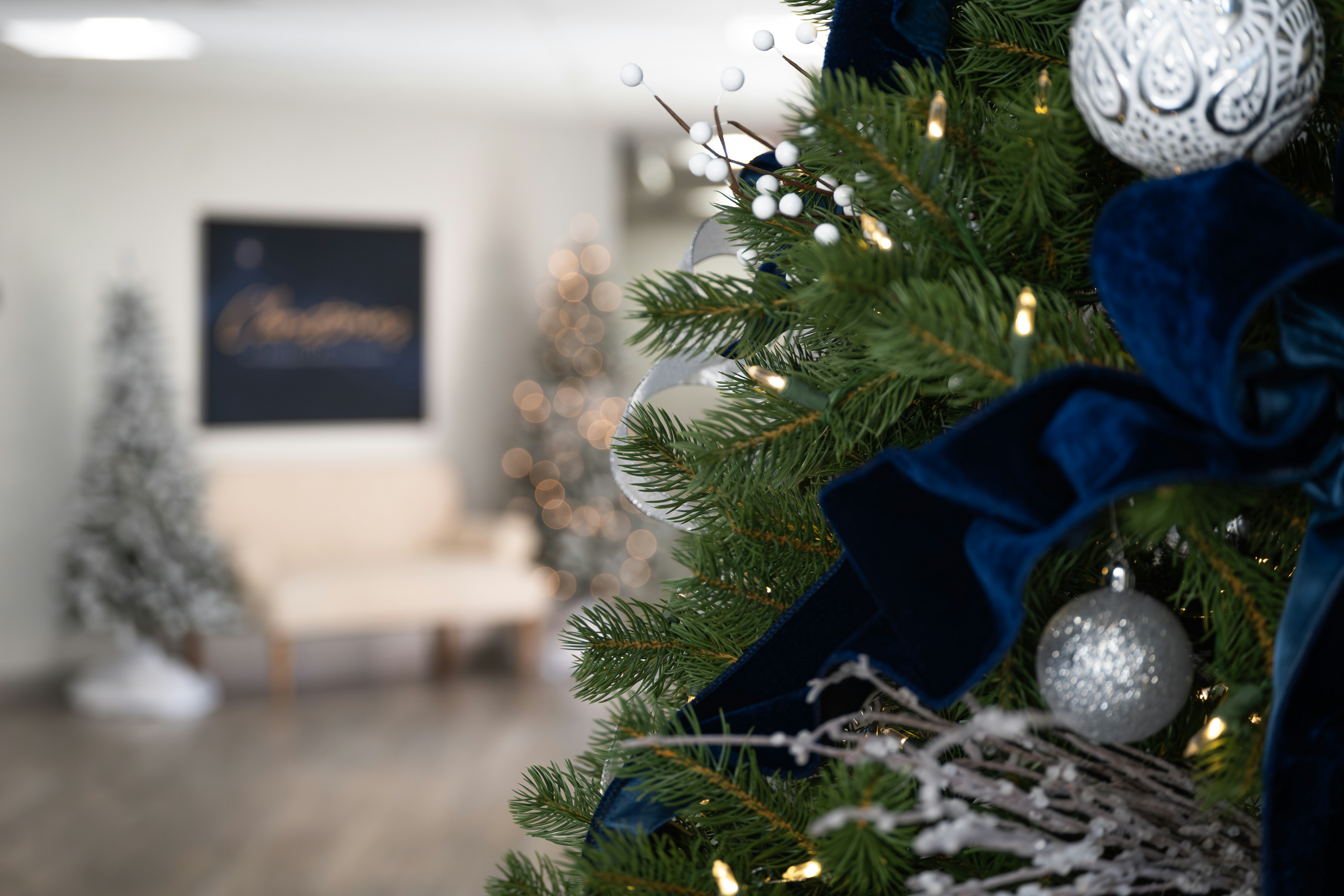 🎄Christmas Tabs: Blue Christmas - Elvis Presley (Intermediate)