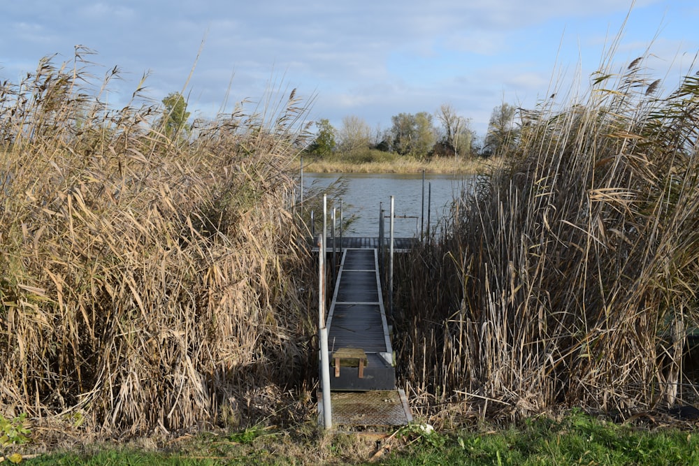 a wooden walkway leading to a body of water