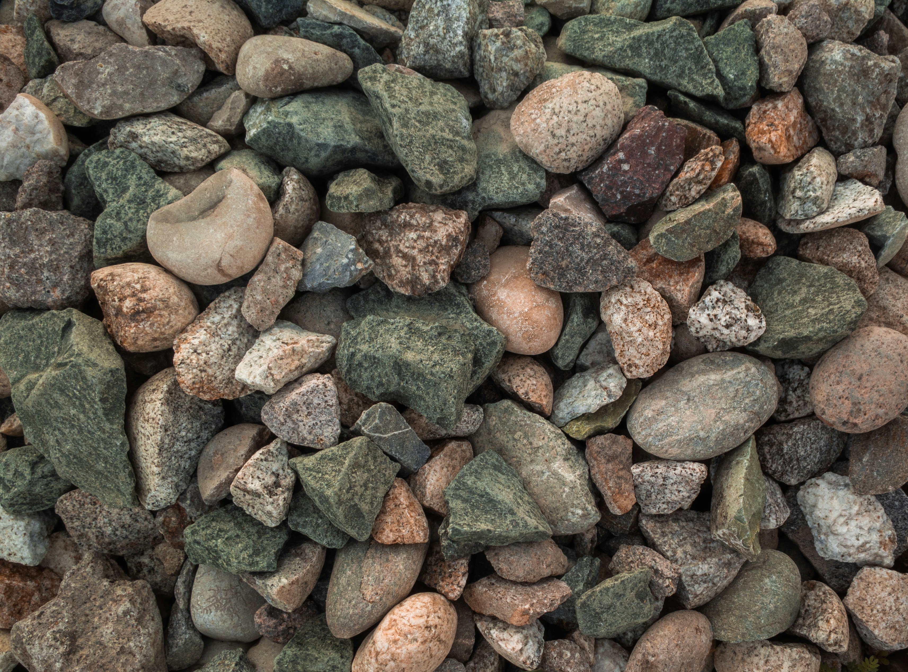 Photo by mattesensei