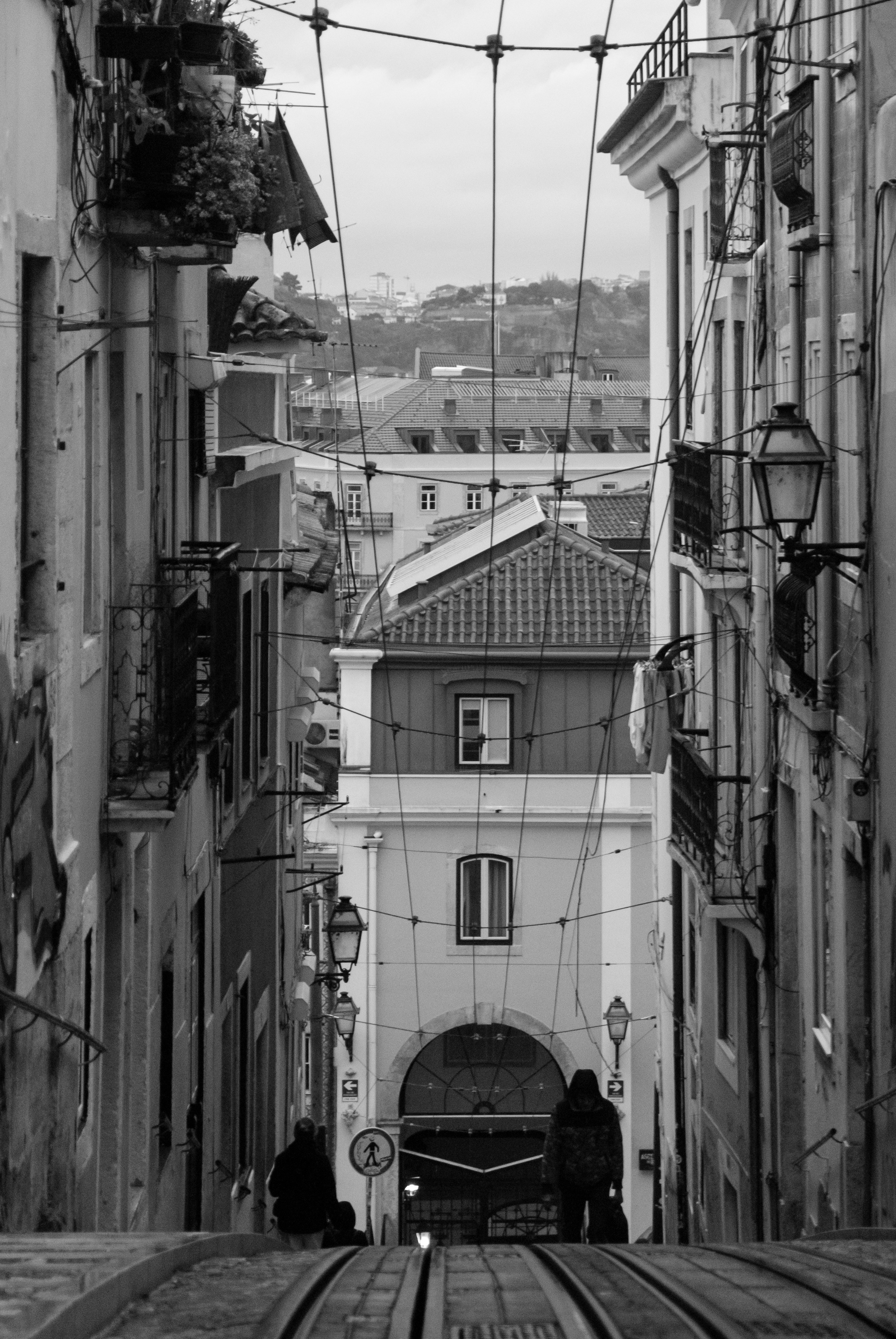 Photo by filipenobre