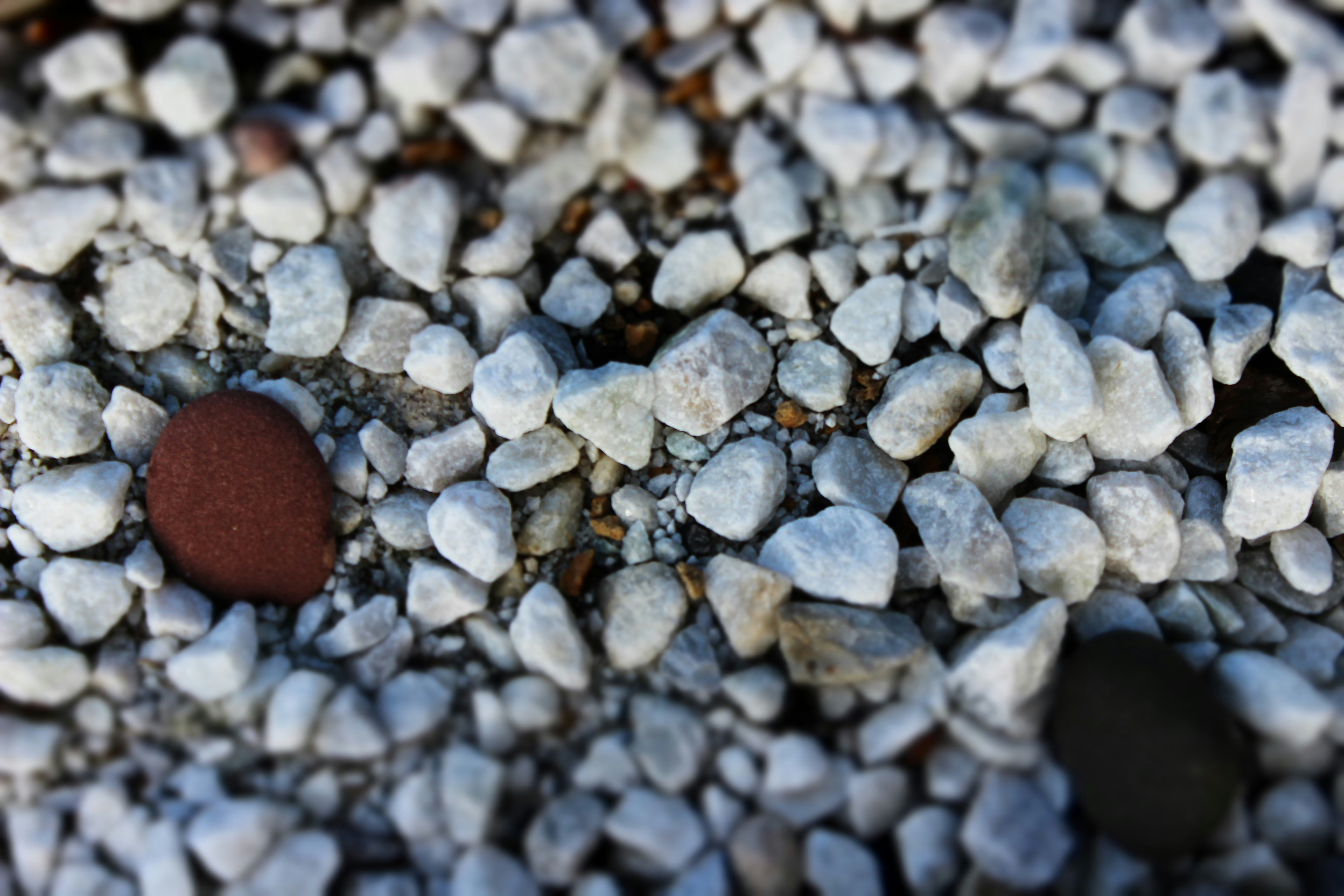 Photo by steven143612