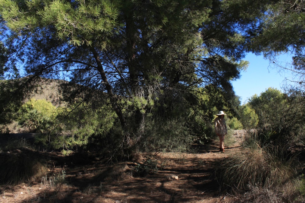 a man walking through a forest with a hat on