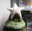 A soft, plush Christmas tree topped with a smiling star is displayed, likely inside a store. The tree is made from a deep green, fluffy material with multiple layers. Behind it, there are shelves with various other items, creating a casual, festive atmosphere.
