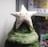 A soft, plush Christmas tree topped with a smiling star is displayed, likely inside a store. The tree is made from a deep green, fluffy material with multiple layers. Behind it, there are shelves with various other items, creating a casual, festive atmosphere.