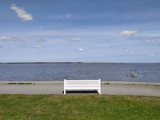 A white bench is placed on a grassy area facing a calm body of water, with a clear blue sky dotted with a few clouds overhead. The horizon appears distant, creating a sense of openness and tranquility.