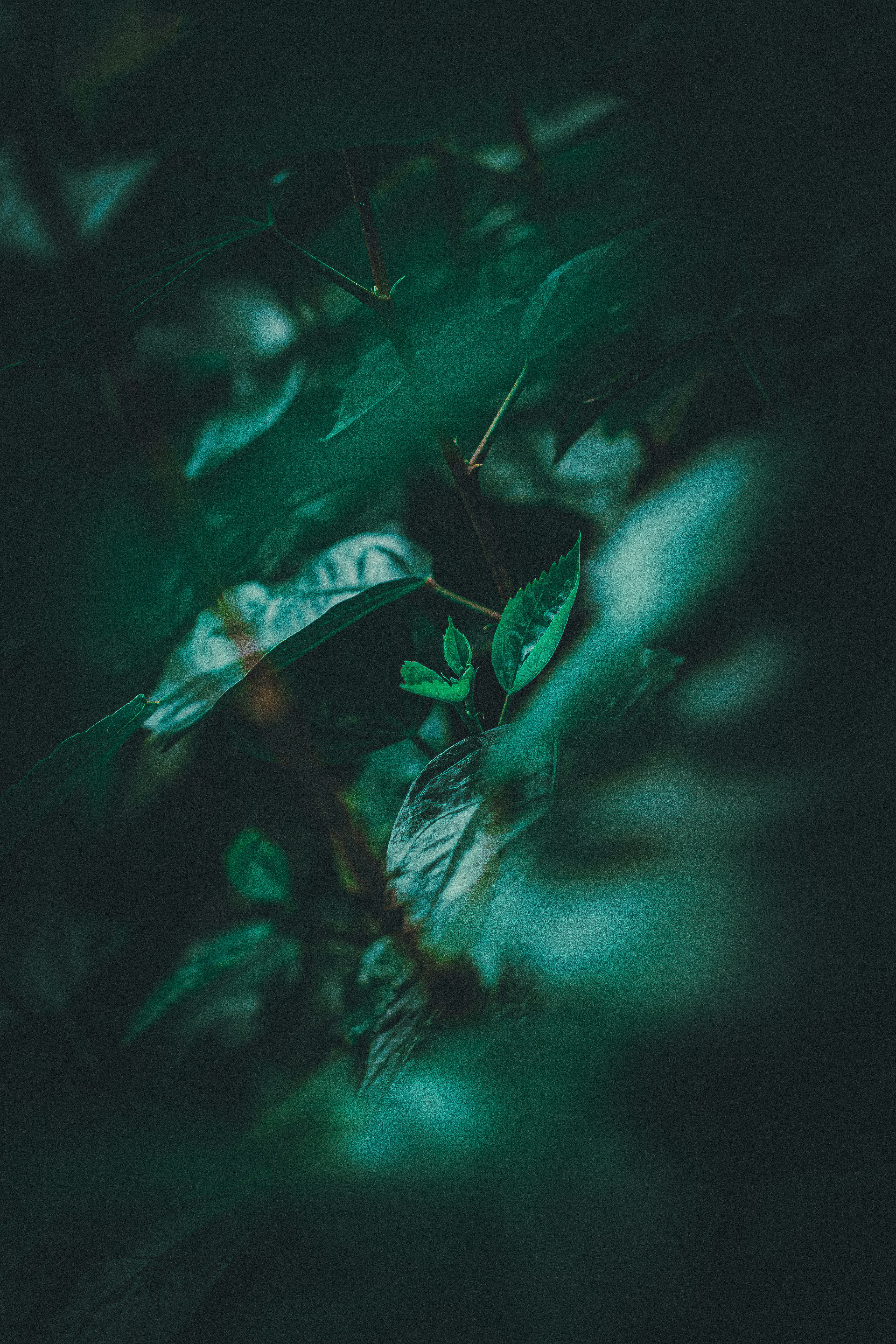 Photo by jealife_pictures