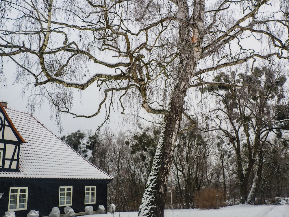 a house in the snow with a tree in the foreground