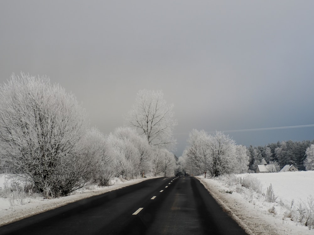 a road with snow covered trees on both sides