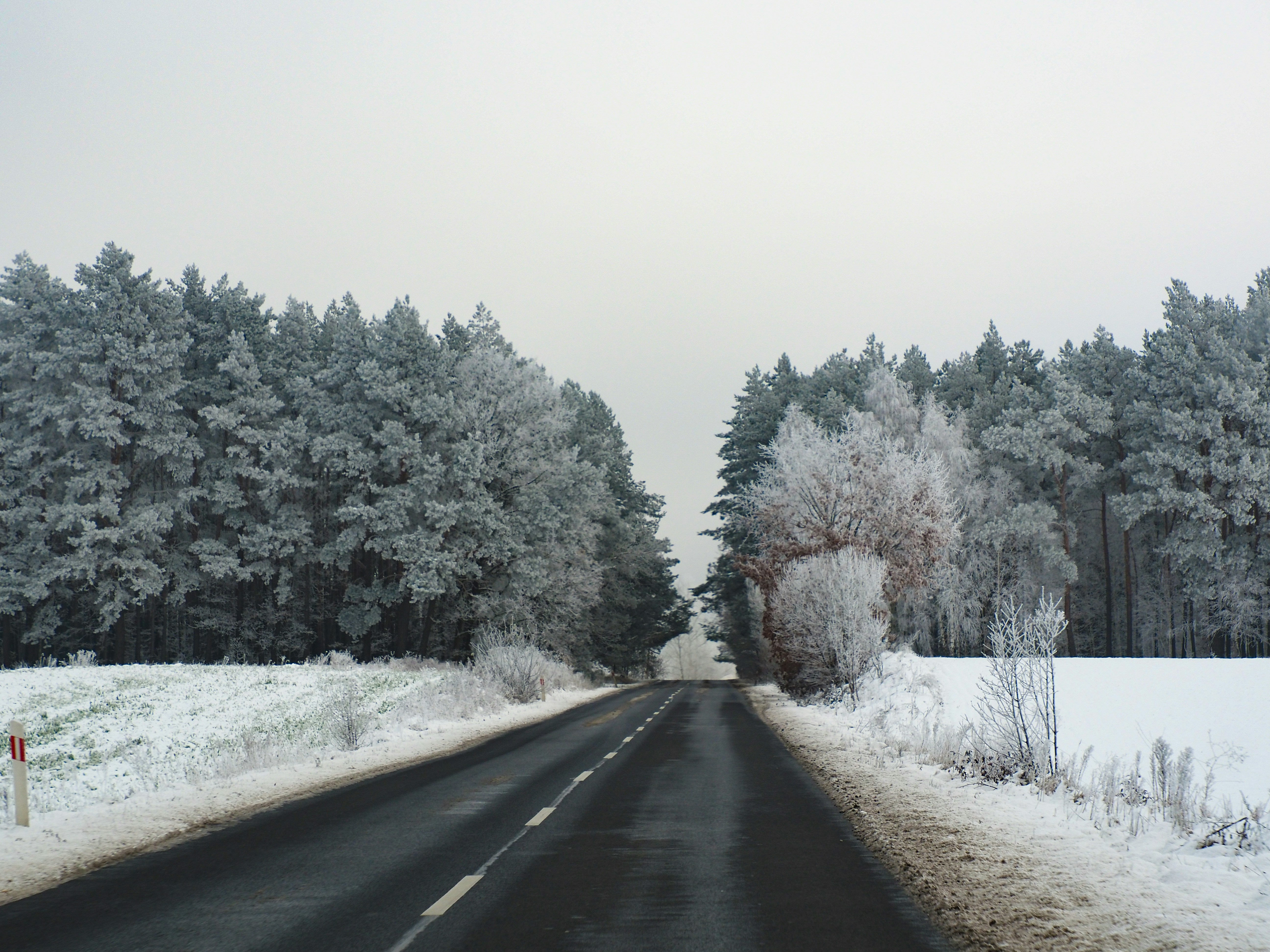 a road with snow on the ground and trees in the background, 