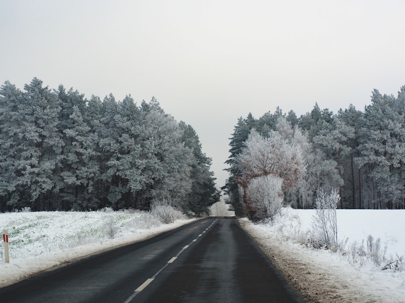 WinterActivities