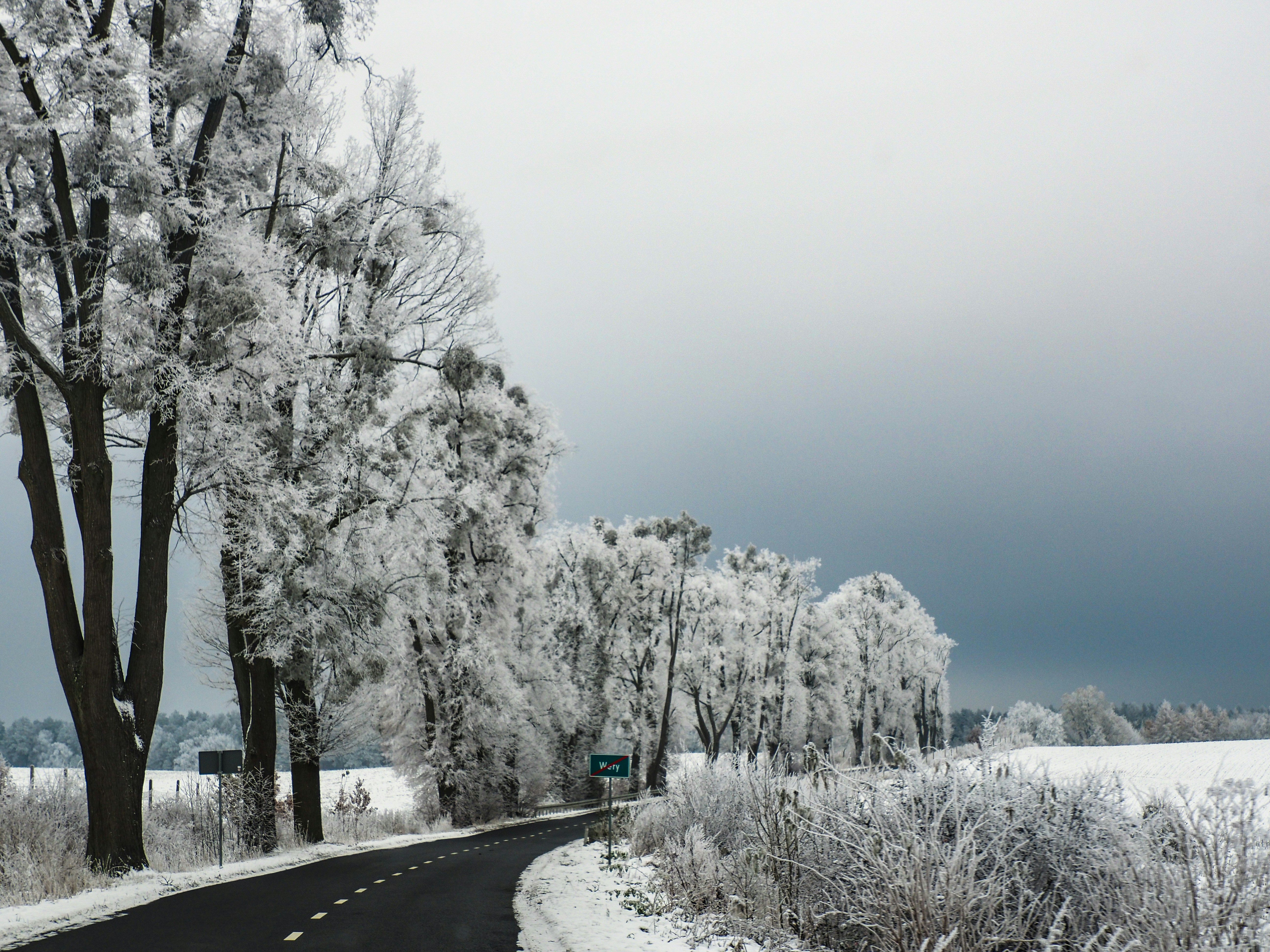 a road surrounded by snow covered trees on a cloudy day