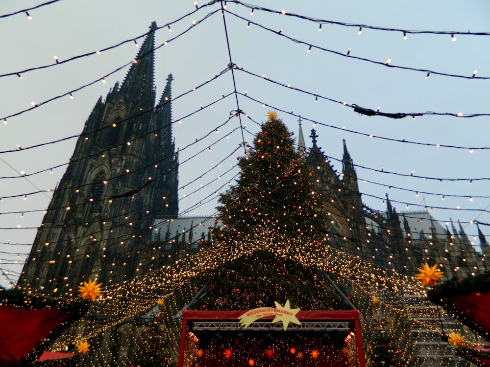 a large christmas tree in front of a cathedral