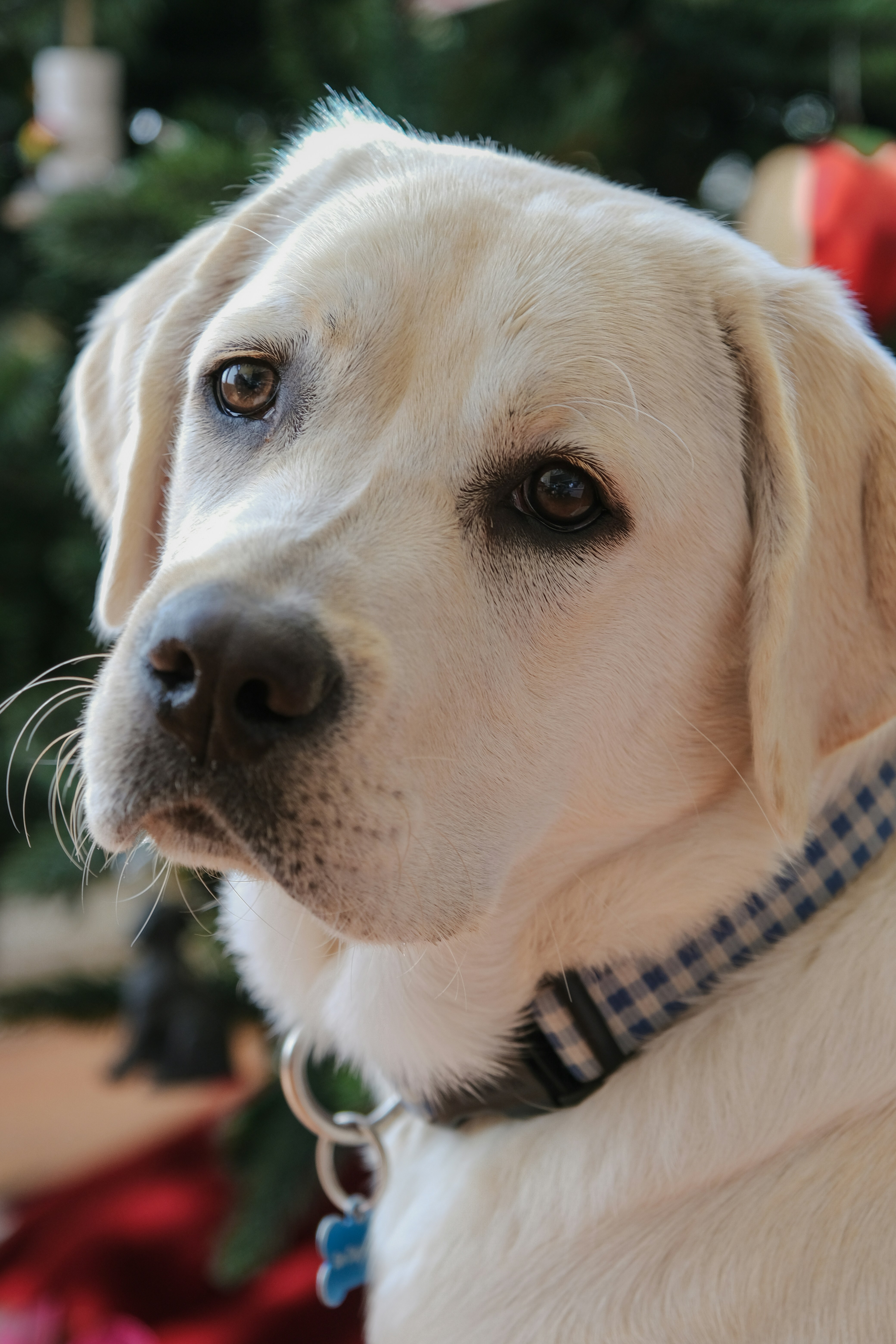 Photo by cestmoisheedy