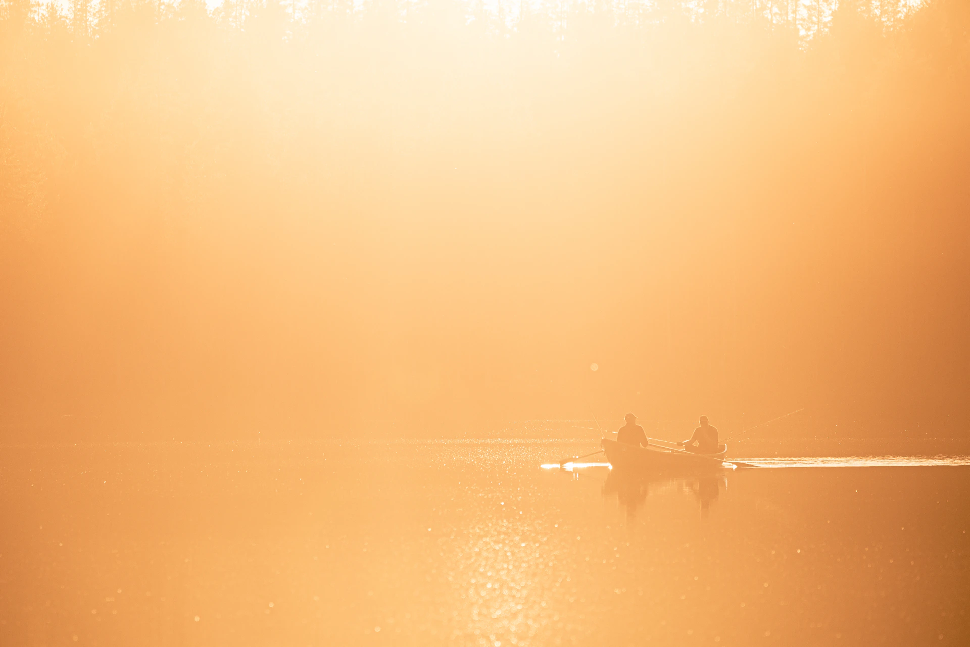 two people in a row boat on a misty lake