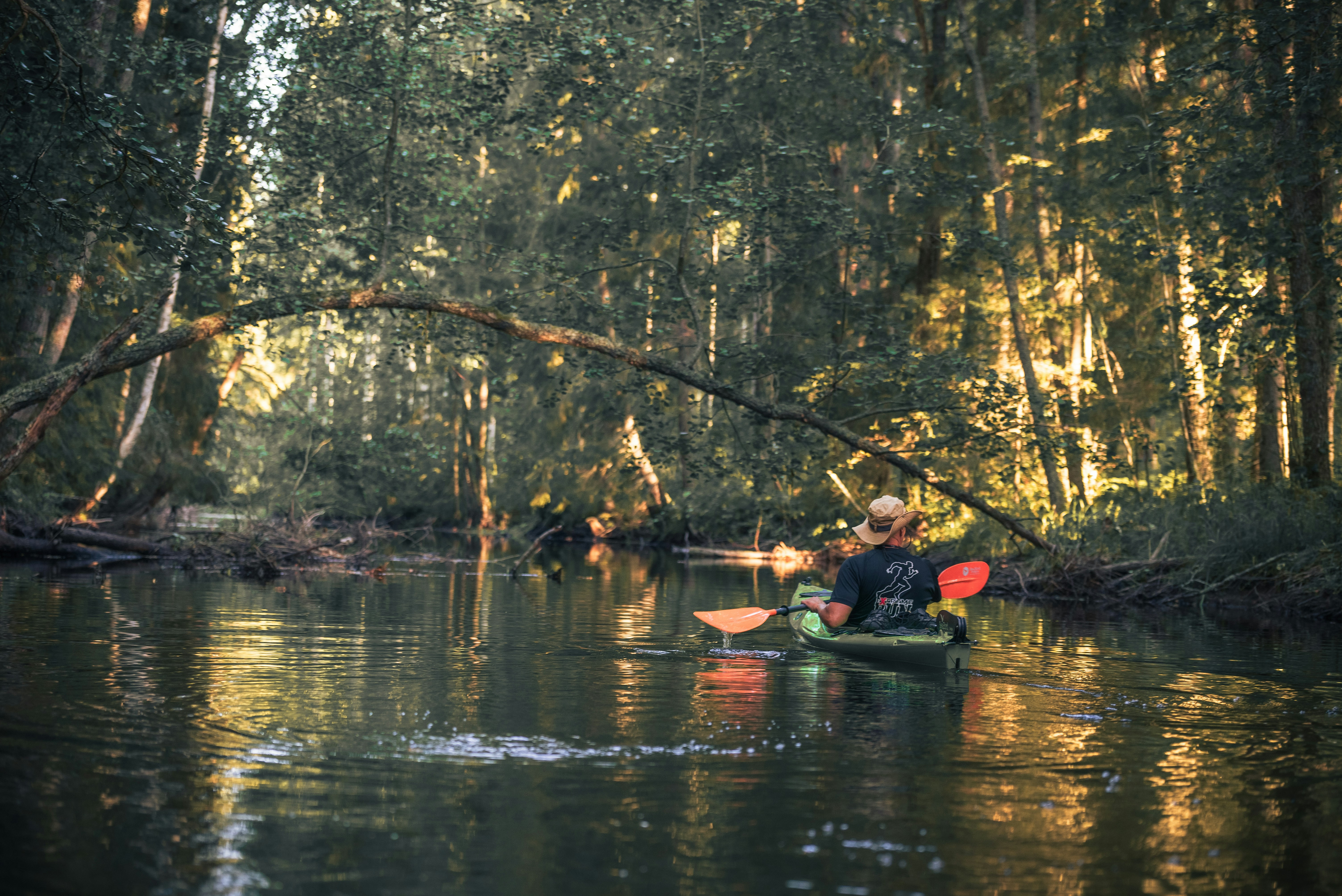 Kayak camping river adventure, ilustrasi artikel Stay Dry on the Water: The Best Dry Bags for Kayak and Canoe Camping 6