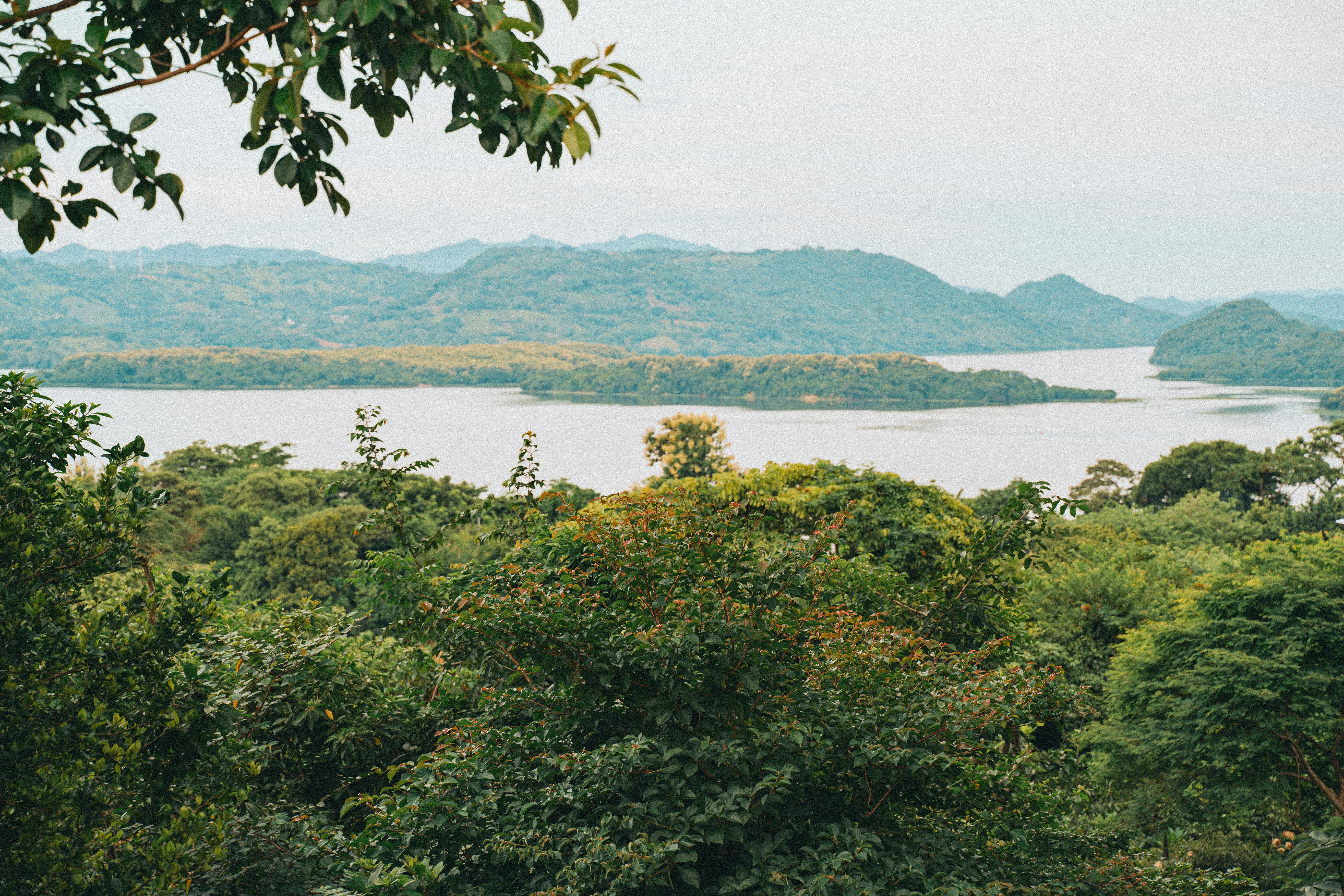 Photo by josemarroquin