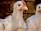 A close-up of a white chicken with a red comb and wattles, standing in front of a blurred brown background. Another chicken is partially visible beside it, showcasing its fluffy feathers and alert expression.