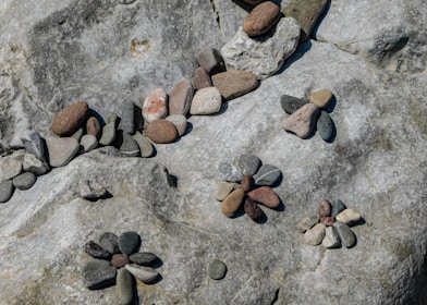 Several small rocks and pebbles are artistically arranged on a larger flat rock surface to resemble flowers. The rocks vary in color, ranging from browns and grays to beige and reddish tones, and are placed meticulously to create a patterned effect.