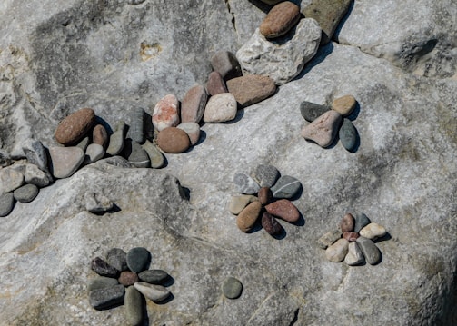 Close-up of textured ornamental rocks arranged artistically in a landscaped area.