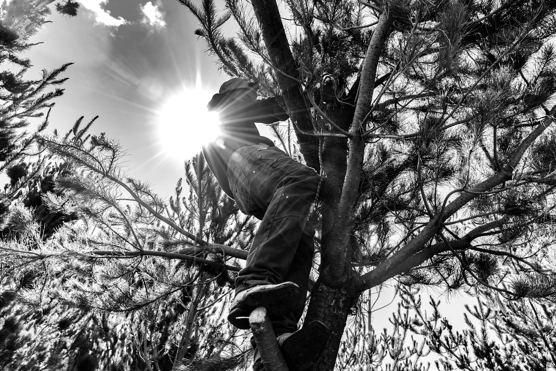 gray computer monitor