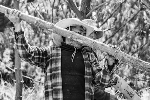 Two individuals are engaged in manual labor, carrying a large tree branch in a forested area. Both are wearing wide-brimmed hats and plaid shirts, suggesting they are working outdoors to protect themselves from the sun. One person is holding a hand saw with a visible brand name, indicating active involvement in cutting or trimming trees.