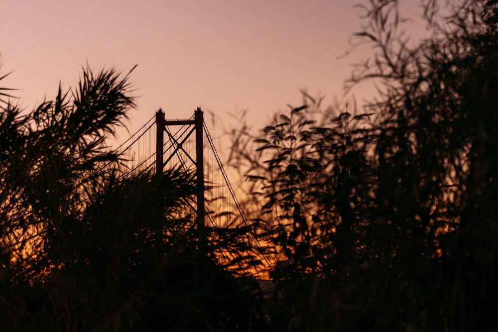 a view of a bridge through some trees at sunset