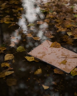 An envelope with a red heart drawn on it floats in a puddle surrounded by fallen autumn leaves. The scene reflects a somber and reflective mood.