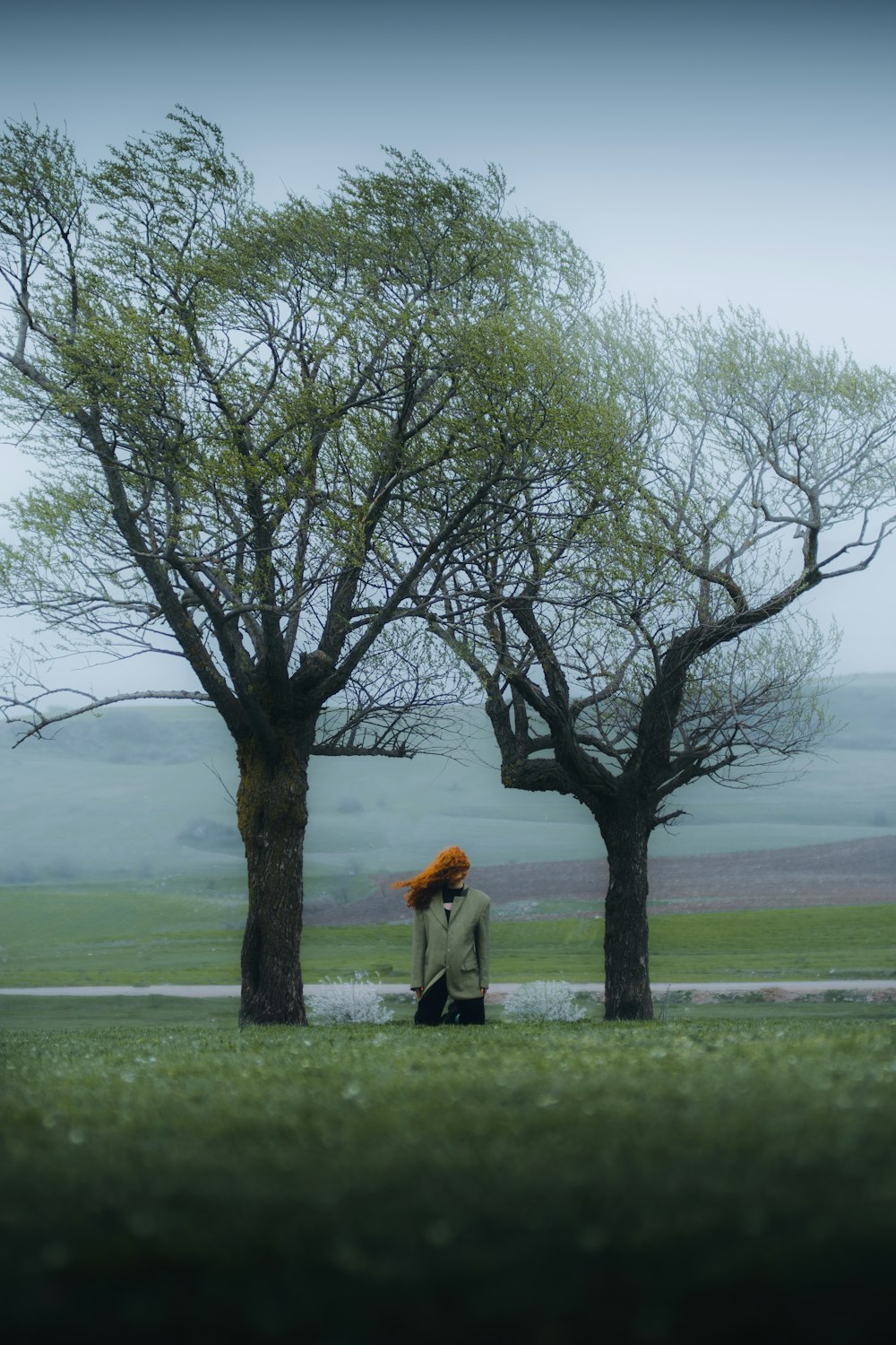 a person sitting on a bench under a tree