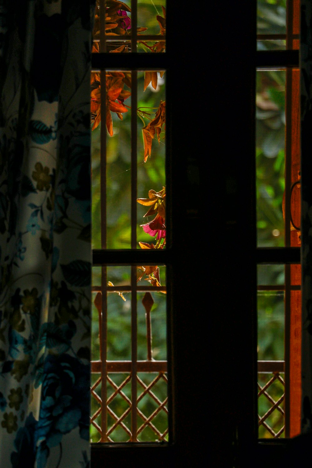 a window with a view of trees outside