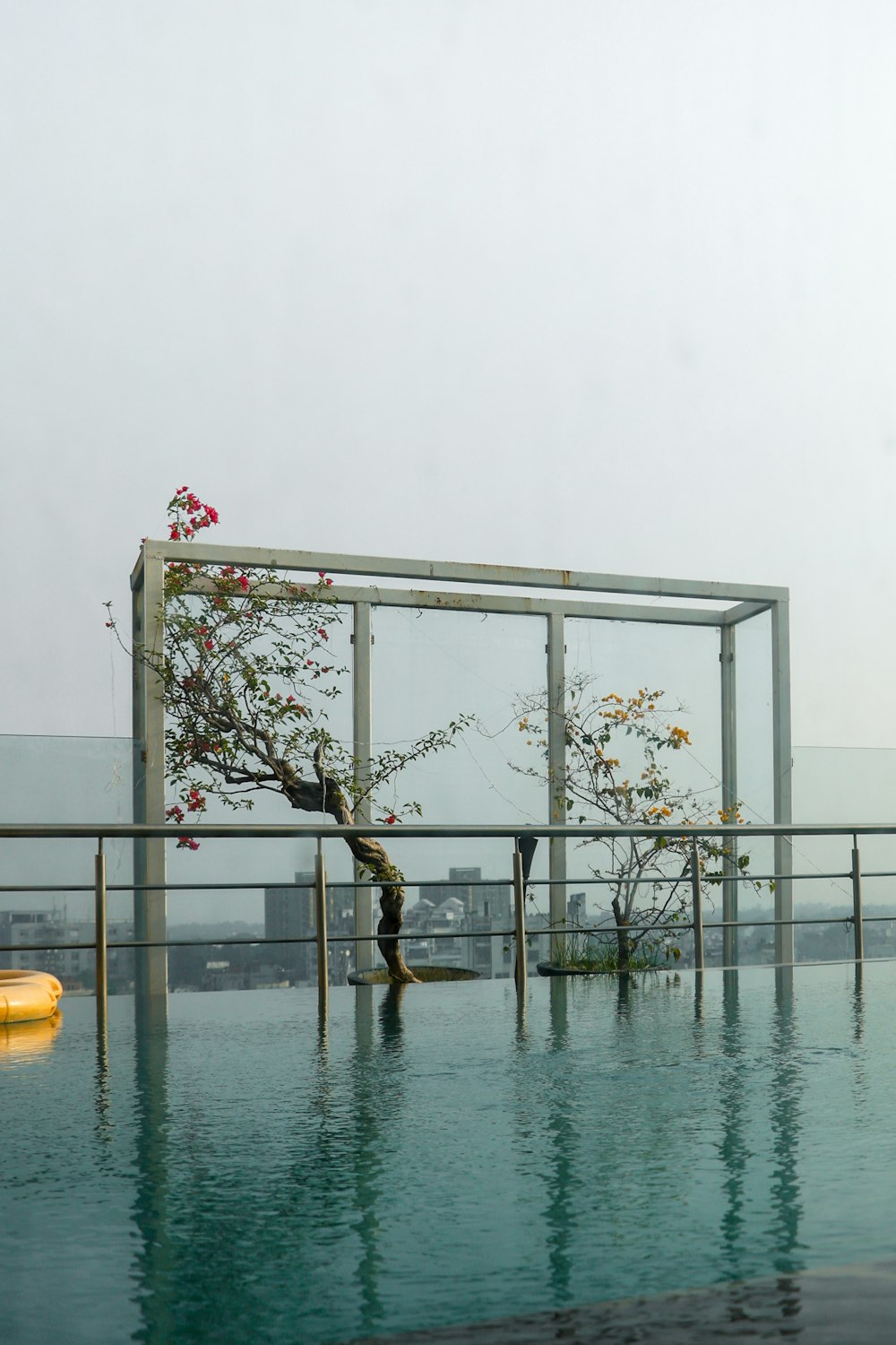 a pool with a tree in the middle of it