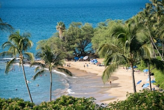 A tropical beach scene features golden sand bordered by lush green palm trees and turquoise ocean waters. People can be seen enjoying the beach, swimming, and lounging under umbrellas. The horizon is filled with abundant greenery, and the sun casts a warm glow over the scene.