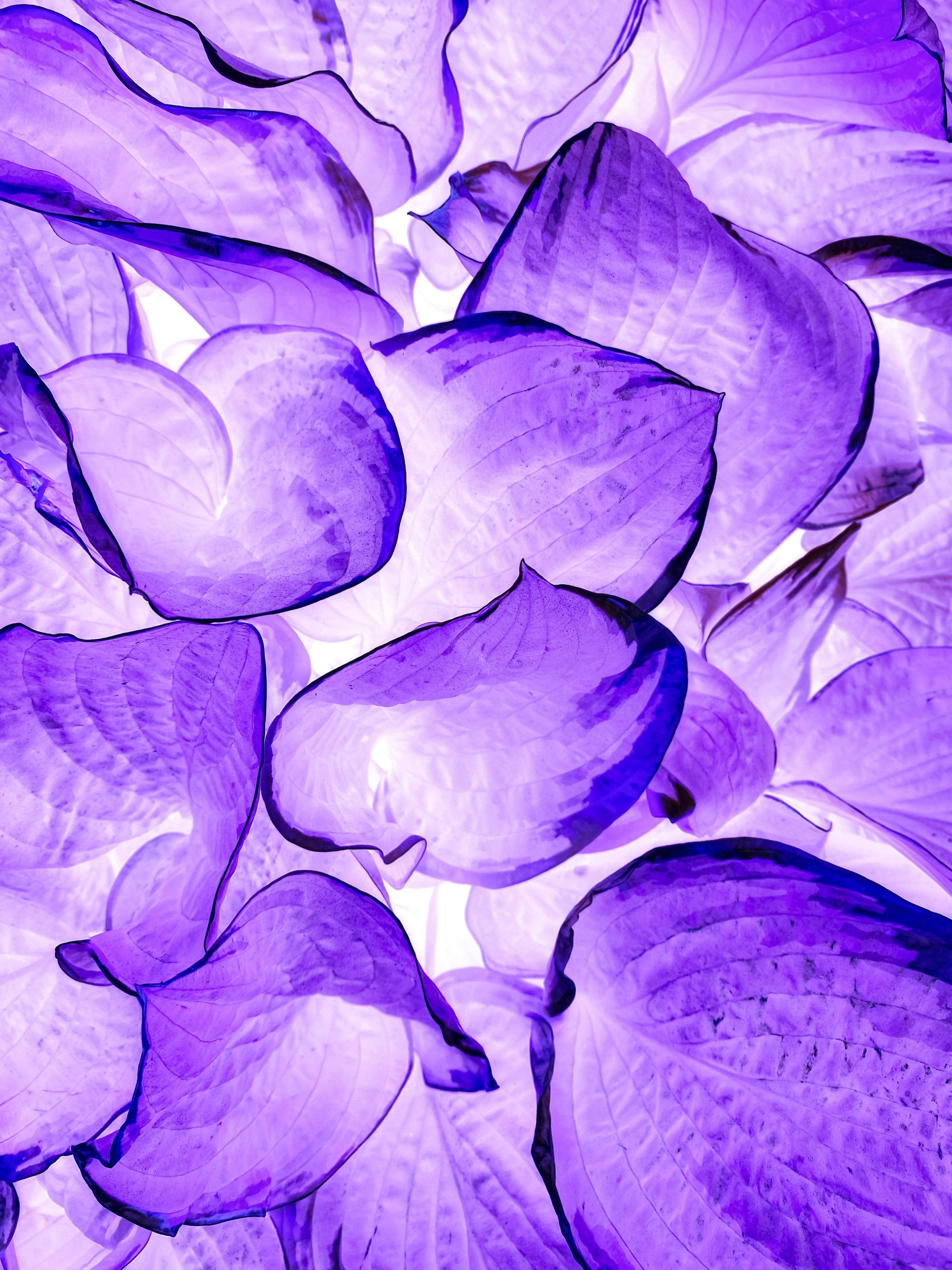 췌장이 보내는 SOS! 염증 신호, 그 과학적 비밀과 맞춤 치료 해법