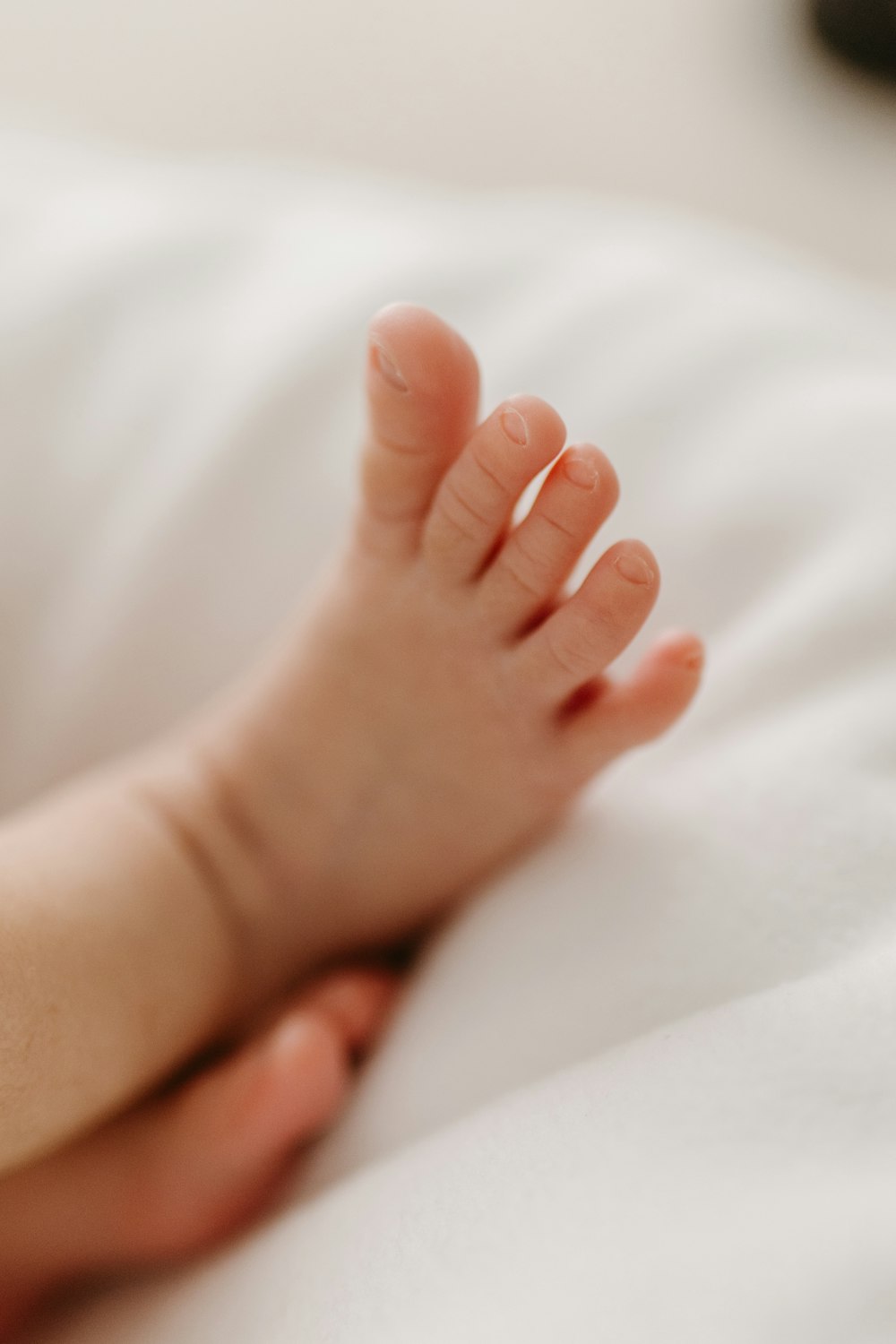 a close up of a person holding a baby's foot