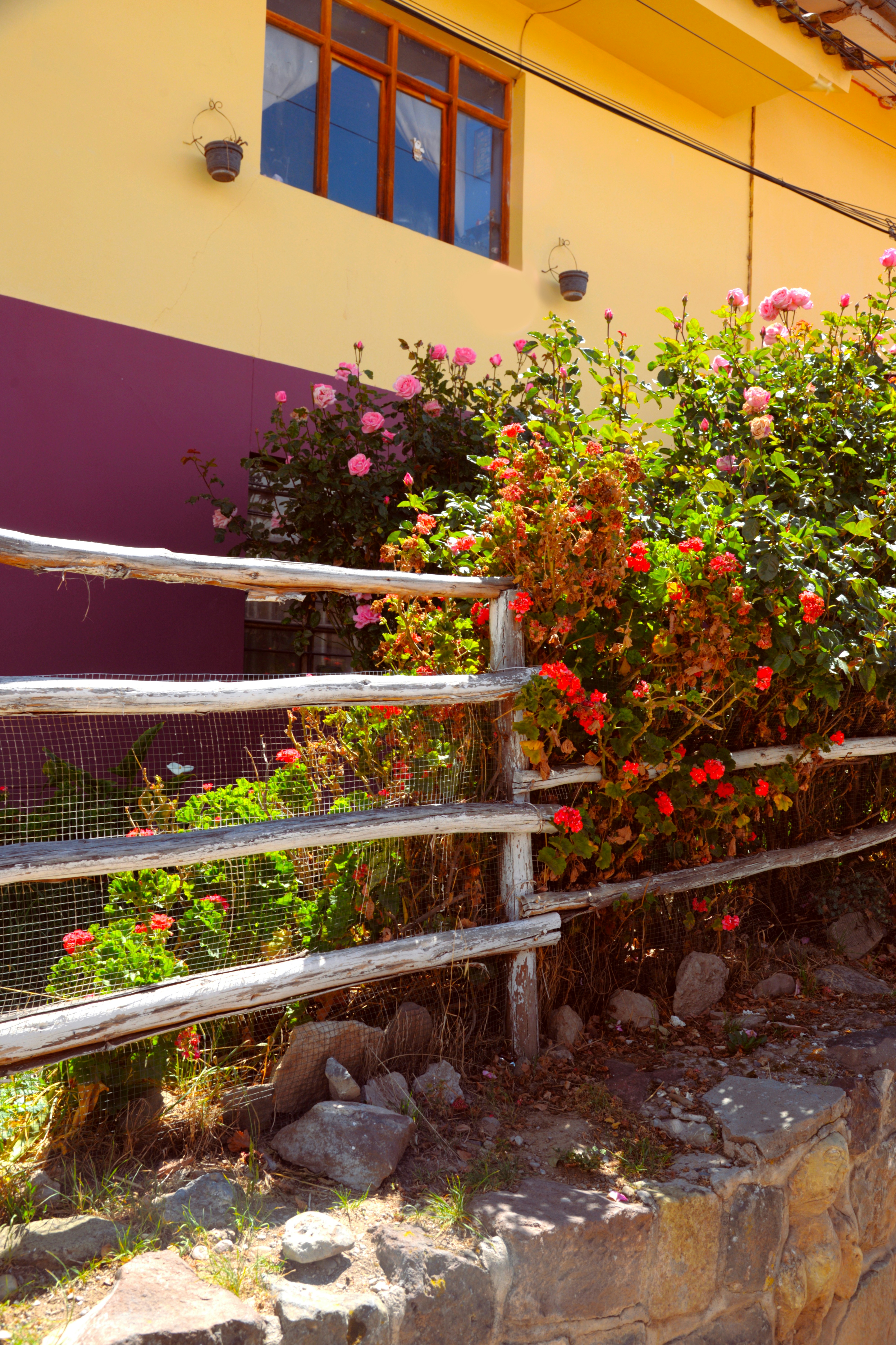 Classic Garden Fence
