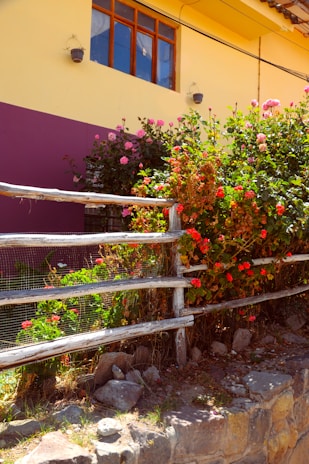 A rustic wooden fence framing a garden with colorful flowers and neatly pruned bushes.