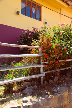 A rustic wooden fence borders a garden full of colorful flowers, with a yellow and purple-painted building in the background. The window of the building reflects the clear blue sky, and the wall has two small potted plants affixed near the top. Stones and some vegetation can be seen at the base of the fence.