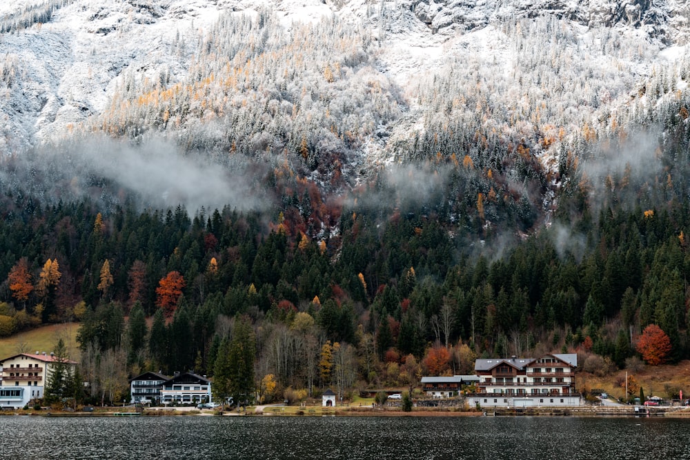 a large mountain covered in trees next to a body of water