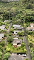 Aerial shot of a residential neighborhood with abundant trees and open spaces.