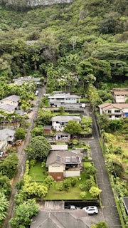 Aerial shot of a residential neighborhood with abundant trees and open spaces.