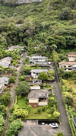 An aerial view of a landscaped residential area with trees.