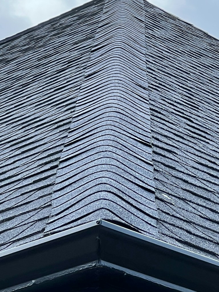Roof Leak Inspection